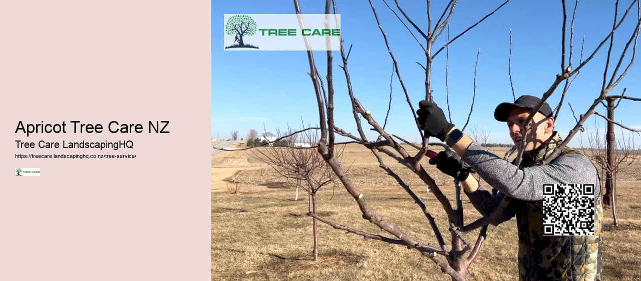 Apricot Tree Care NZ