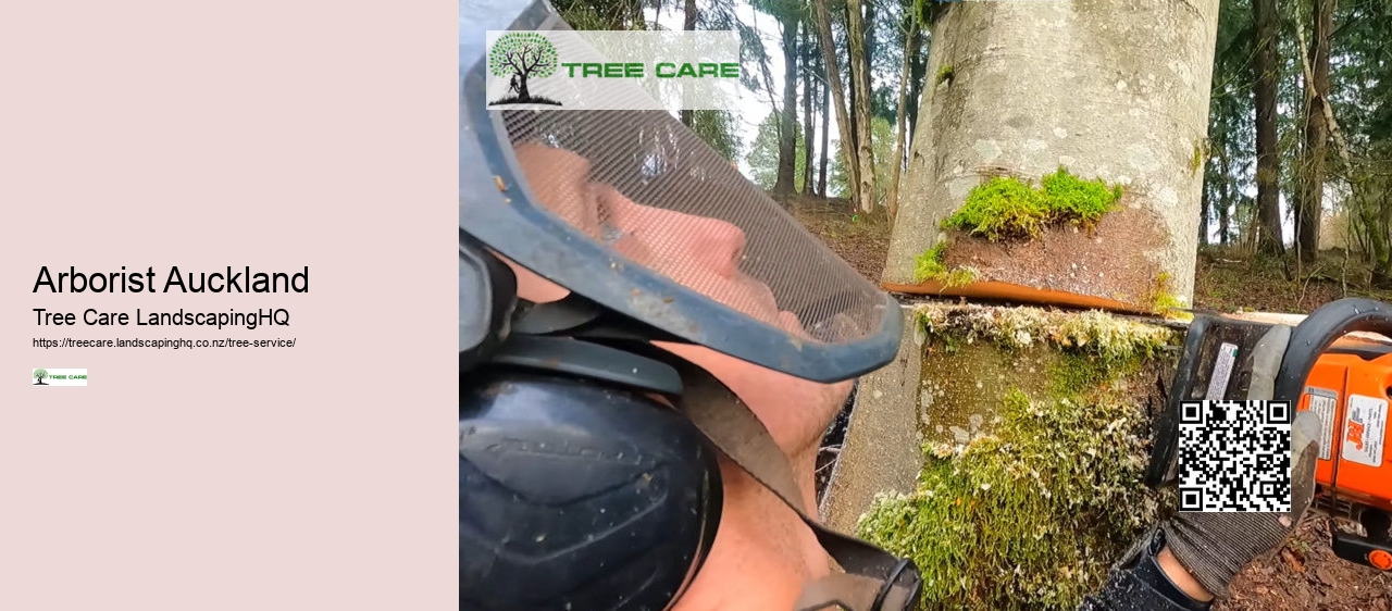 Arborist Auckland