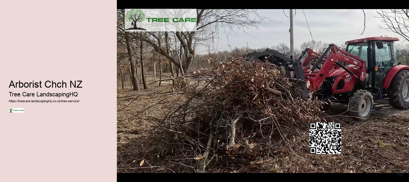 Arborist For Tree Removal