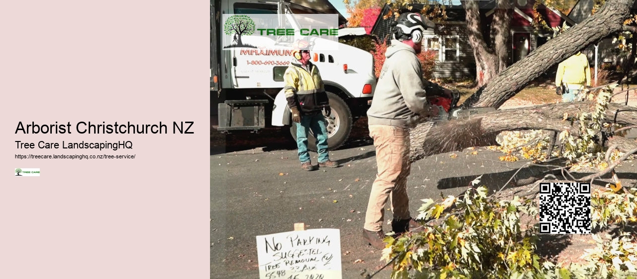 Arborist Christchurch NZ