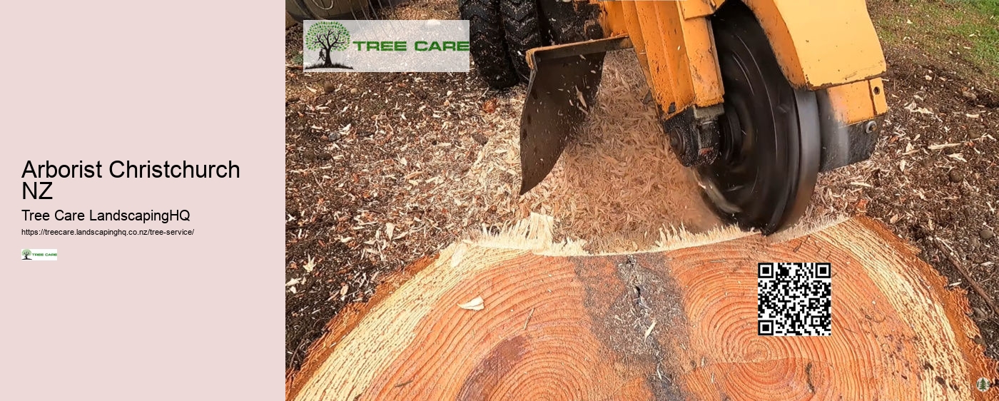 Tree Services Whangarei