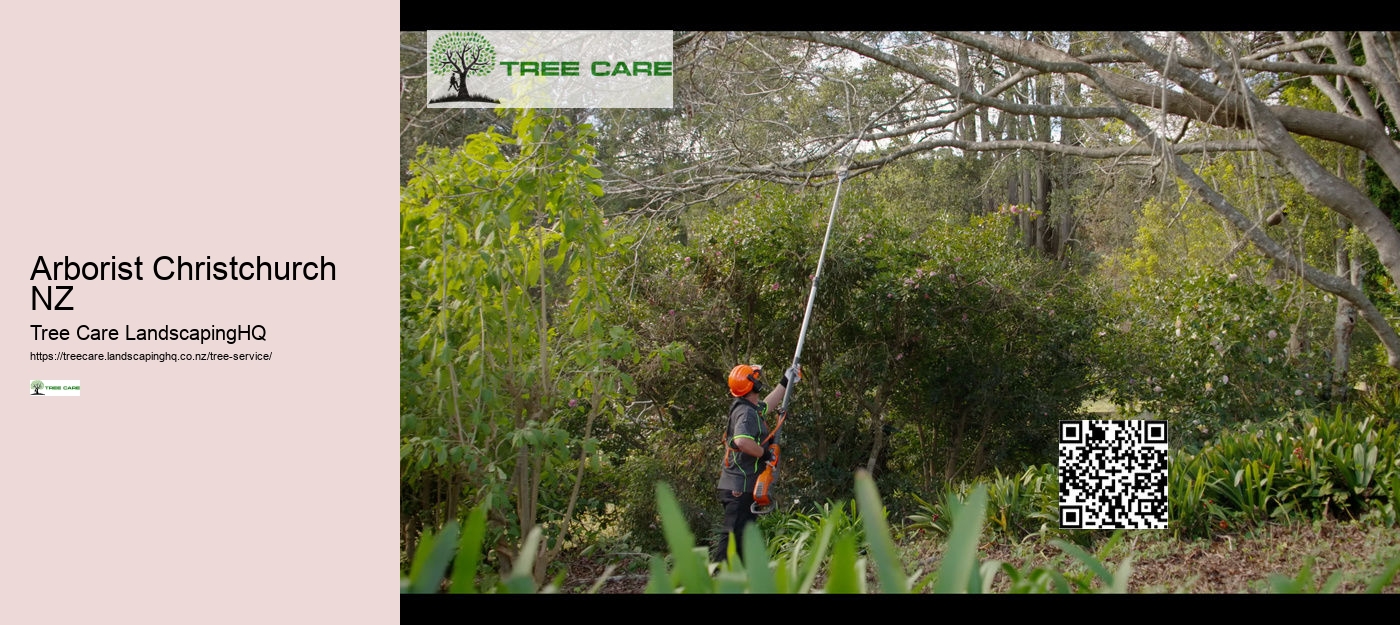 Tauranga Arborist