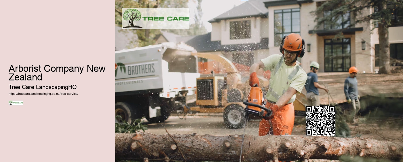 Arborist Christchurch NZ