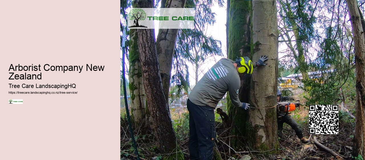 Arborist Company New Zealand