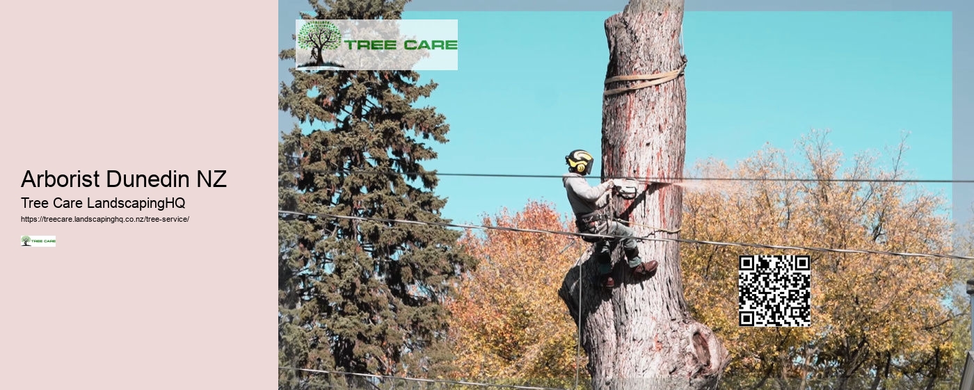 Tree Removal Napier