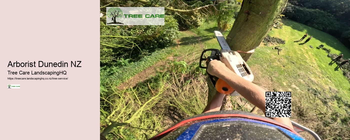 Tree Removal Auckland