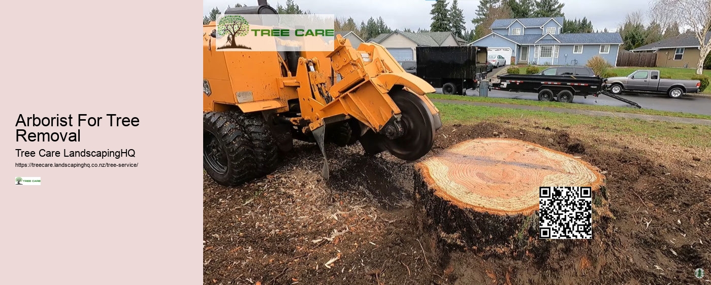 Tree Service NZ