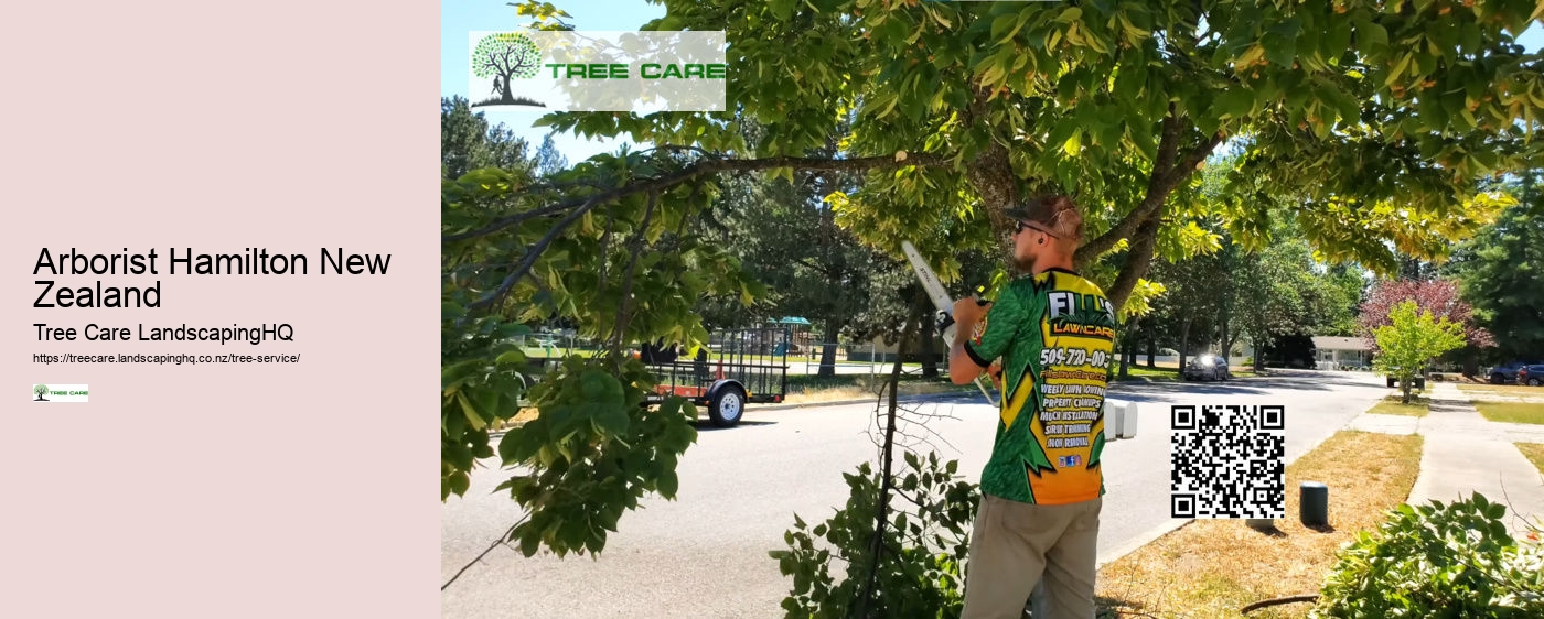 Tree Removal New Plymouth