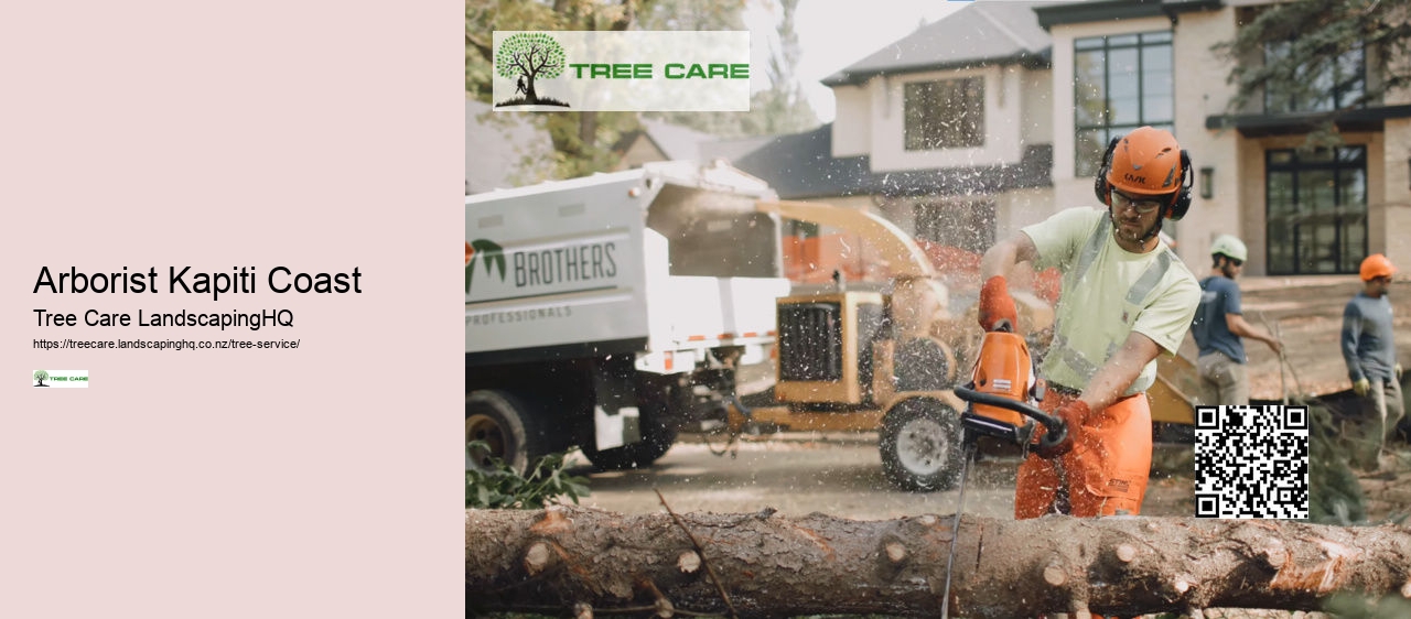 Arborist Kapiti Coast