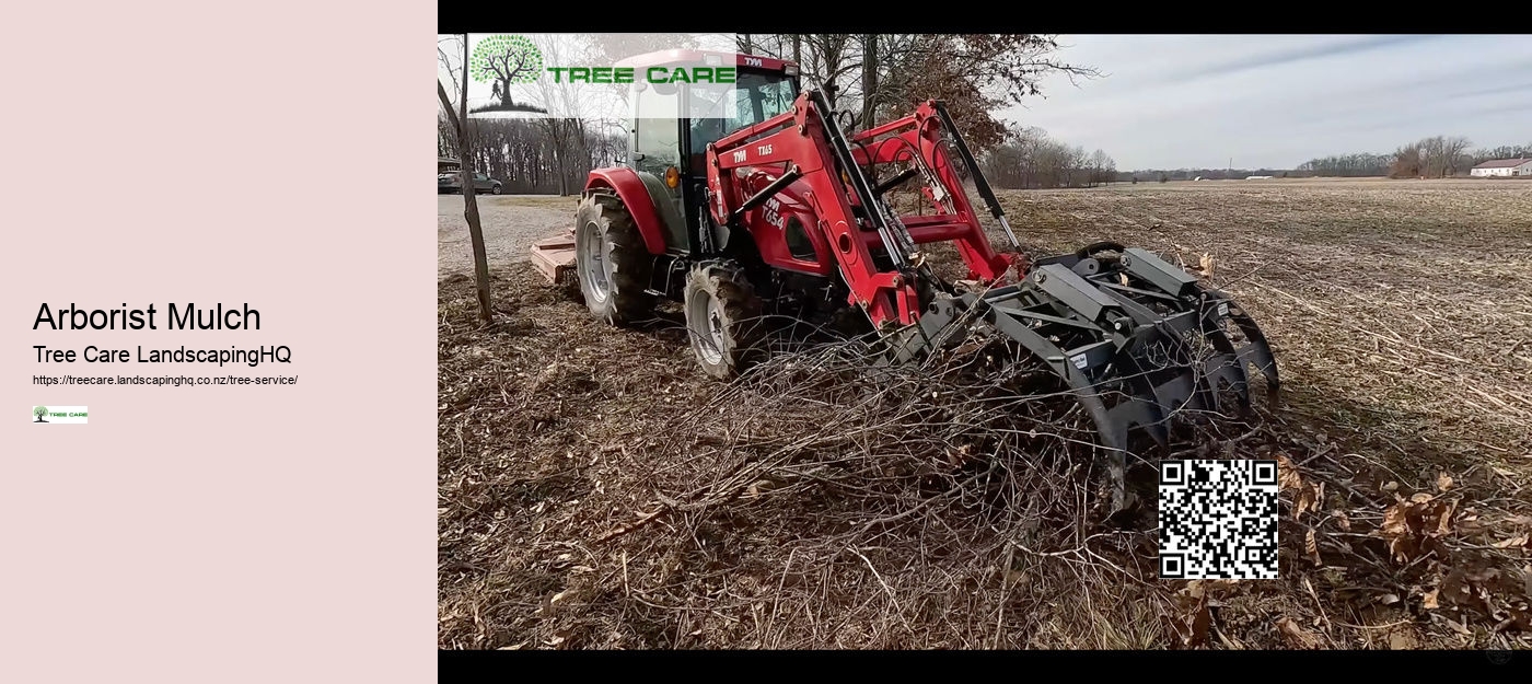 Stump Grinding West Auckland