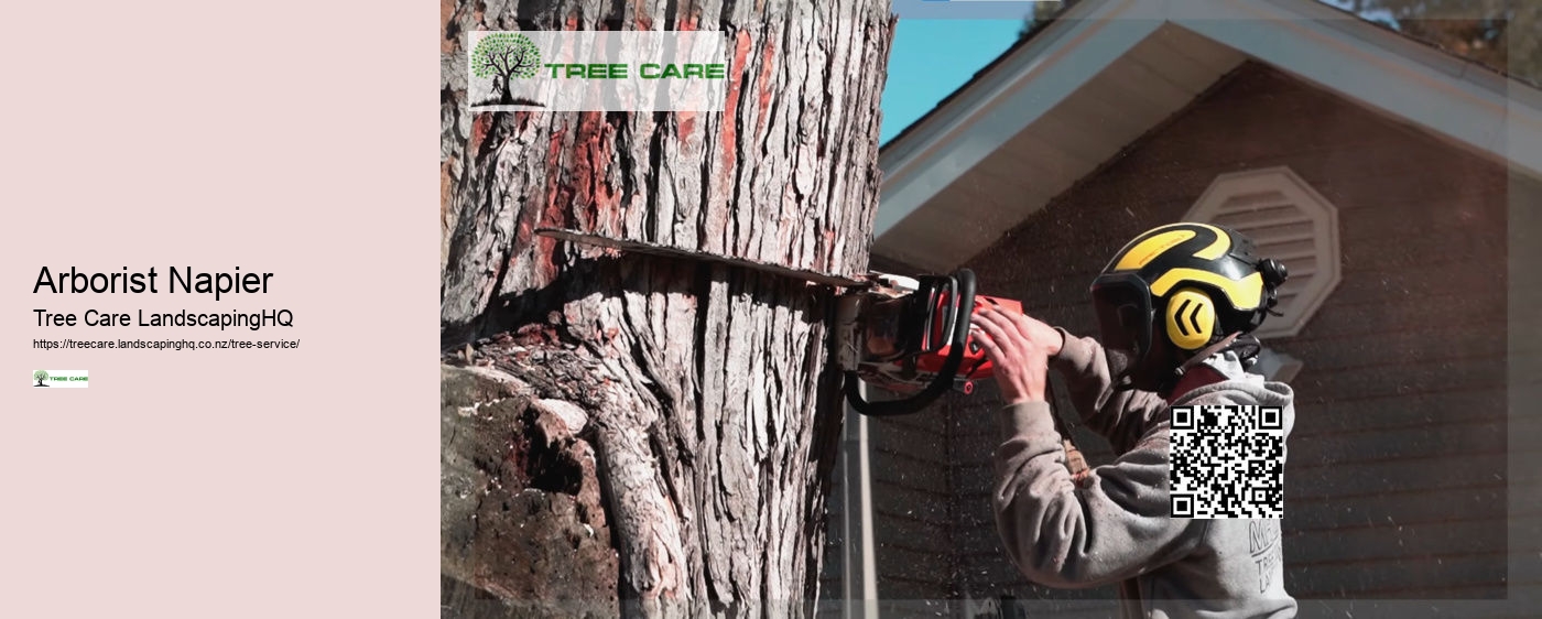 Trimming Trees In NZ