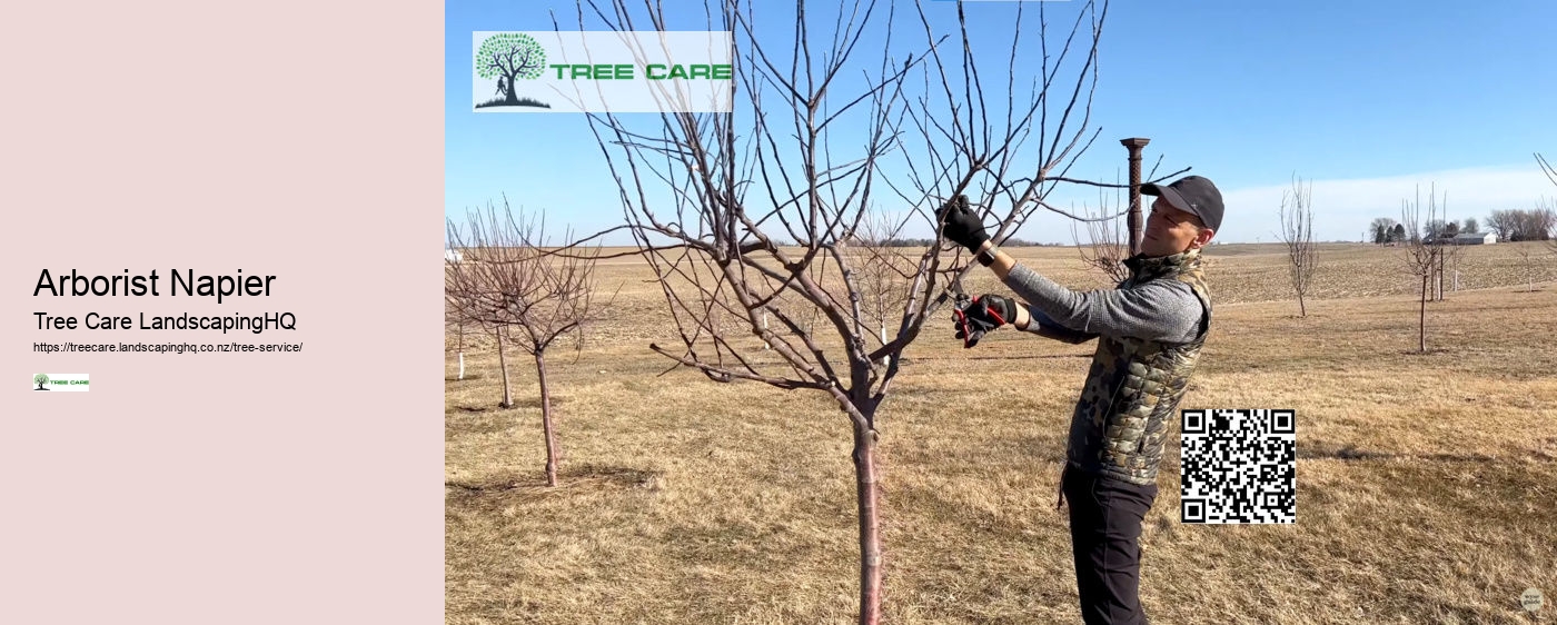 Tree Services Rotorua