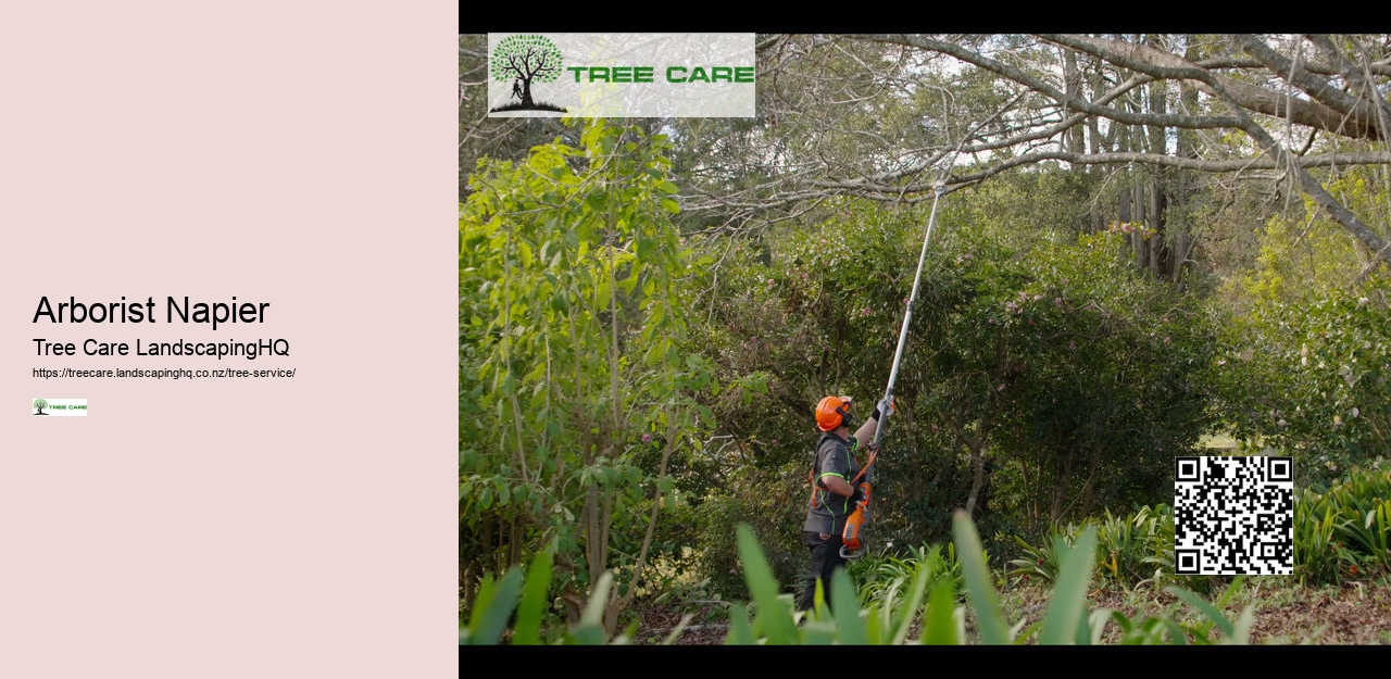 Arborist Napier