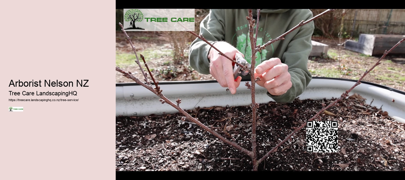 Arborist Vs Tree Trimmer