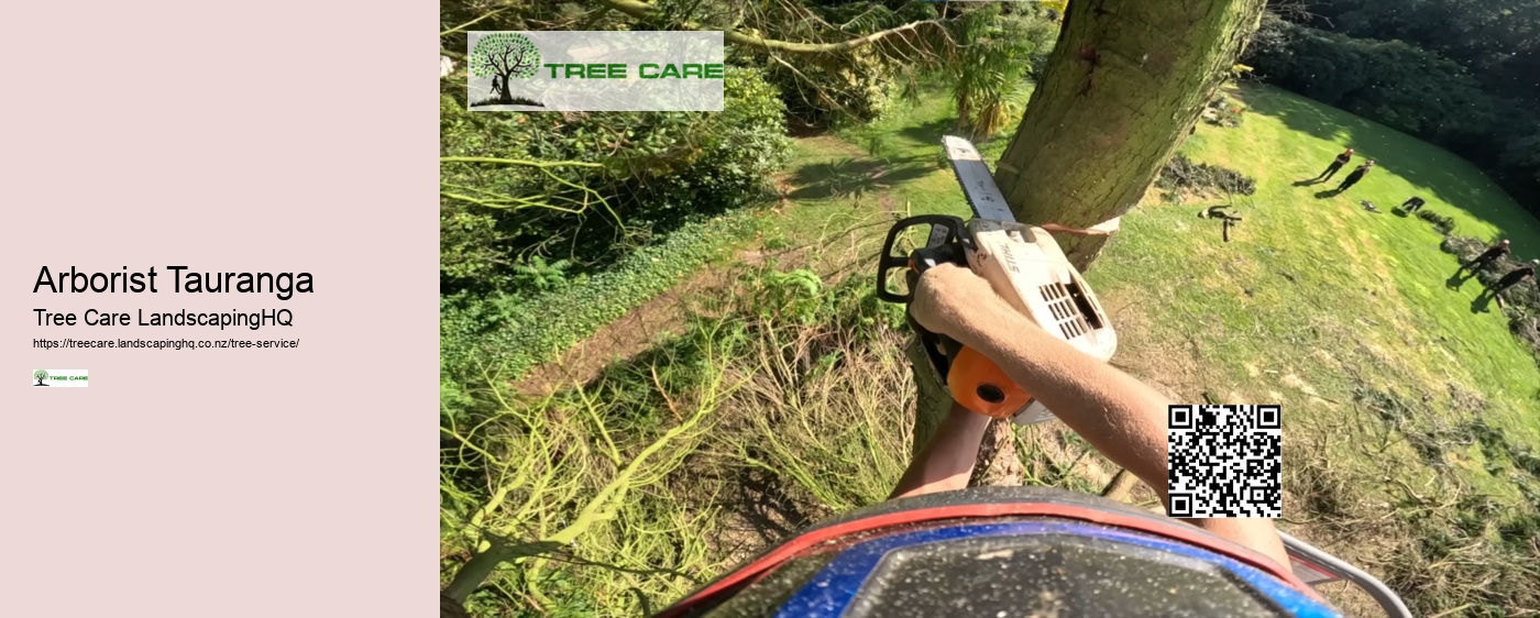 Tree Surgeon Dunedin