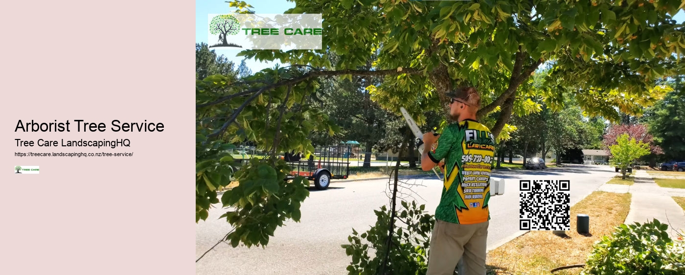 Tree Trimming Chch