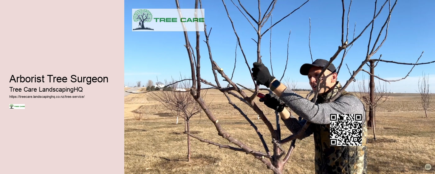 Tree Doctor Auckland