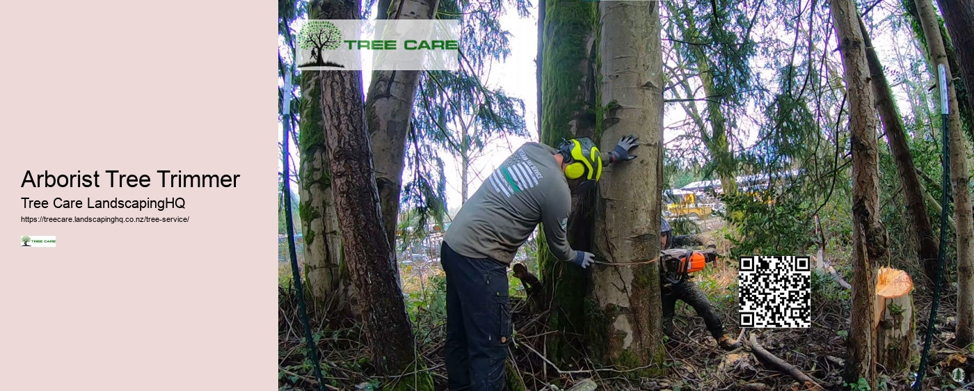 Tree Removal NZ