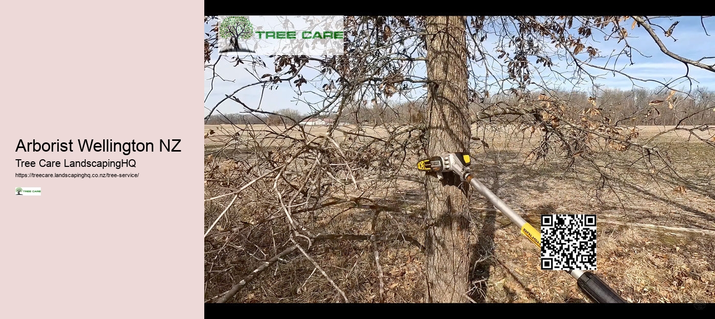 Professional Arborist