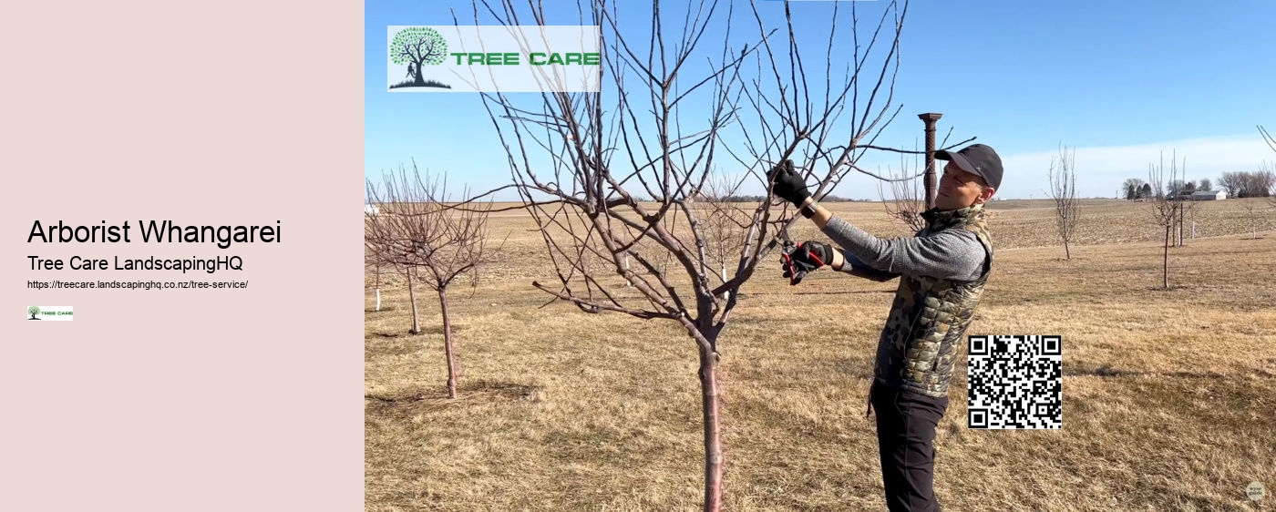 Dunedin Tree Care