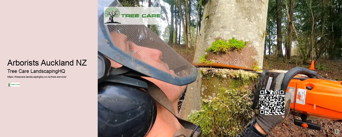 Arborist Hastings NZ