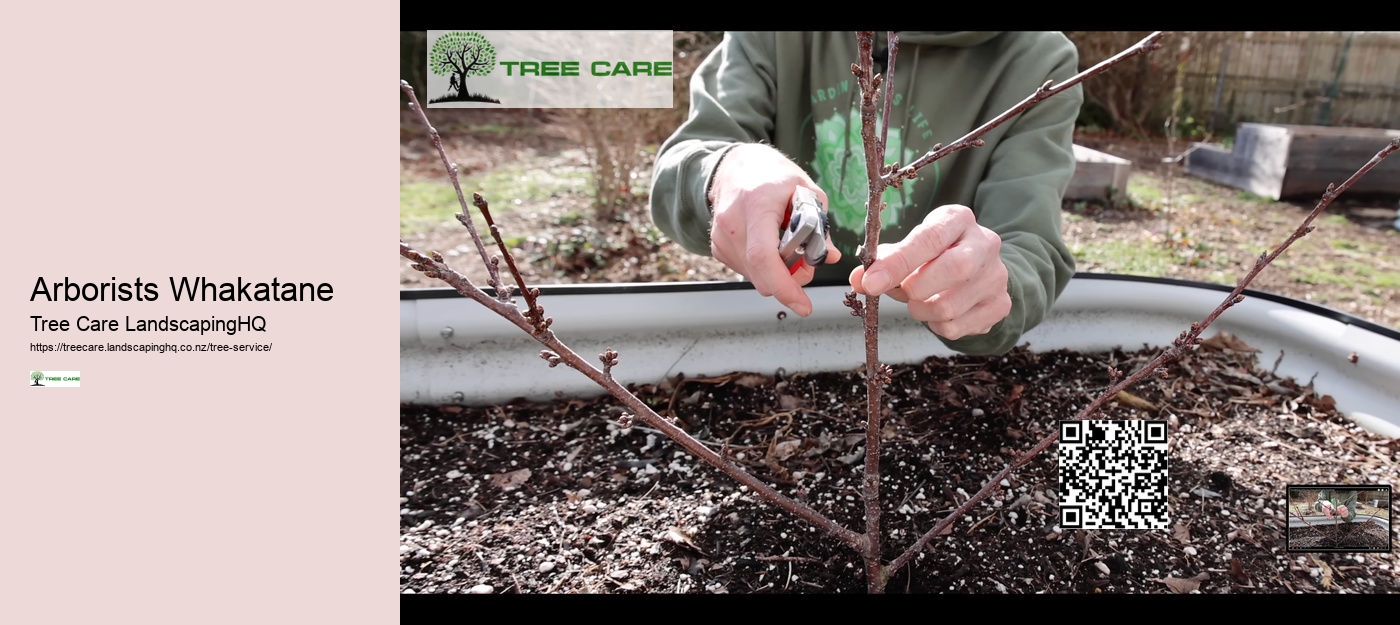 Tree Services Christchurch