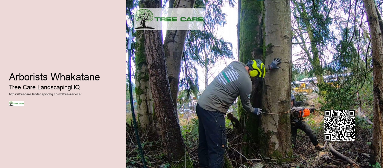 Arborists Whakatane