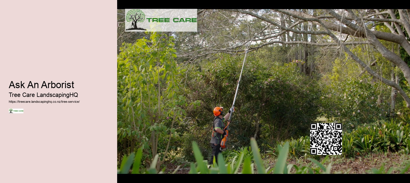 Arborists Auckland NZ