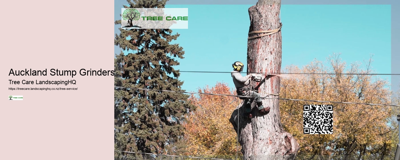 Tree Trimming And Pruning NZ