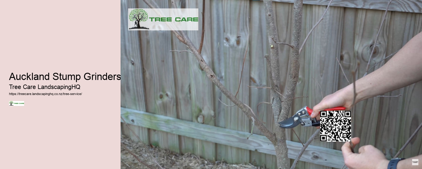 Arborist For Tree Removal