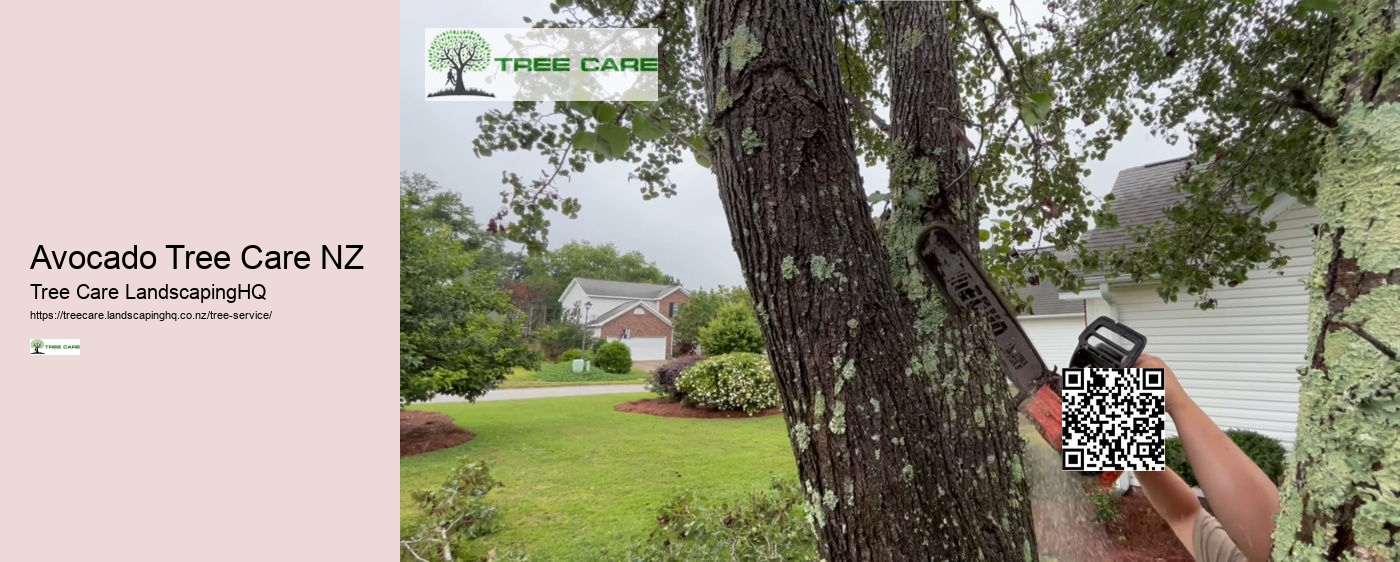 Tree Trimming Napier