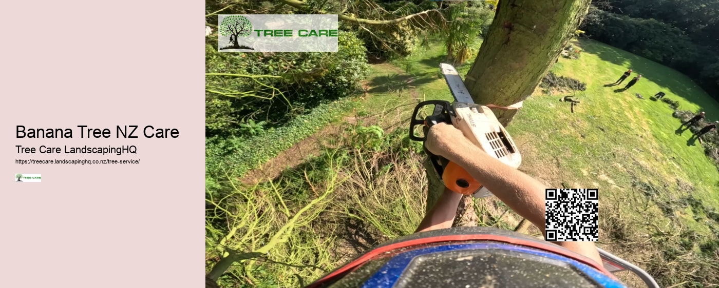 Arborist Christchurch NZ