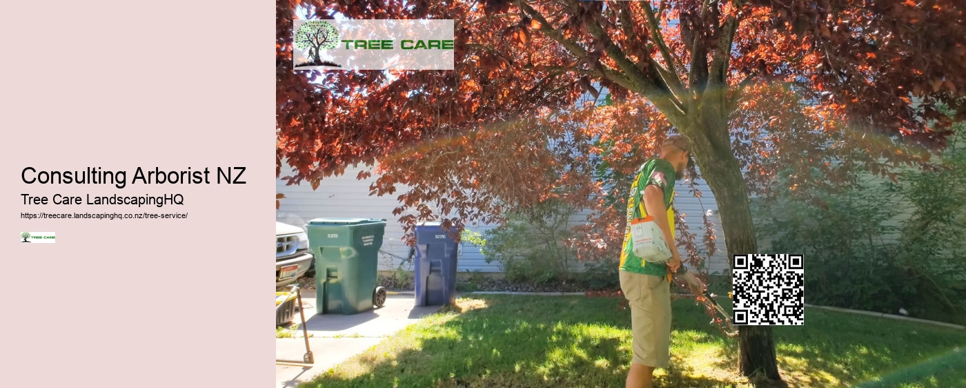 Tree Removal Auckland