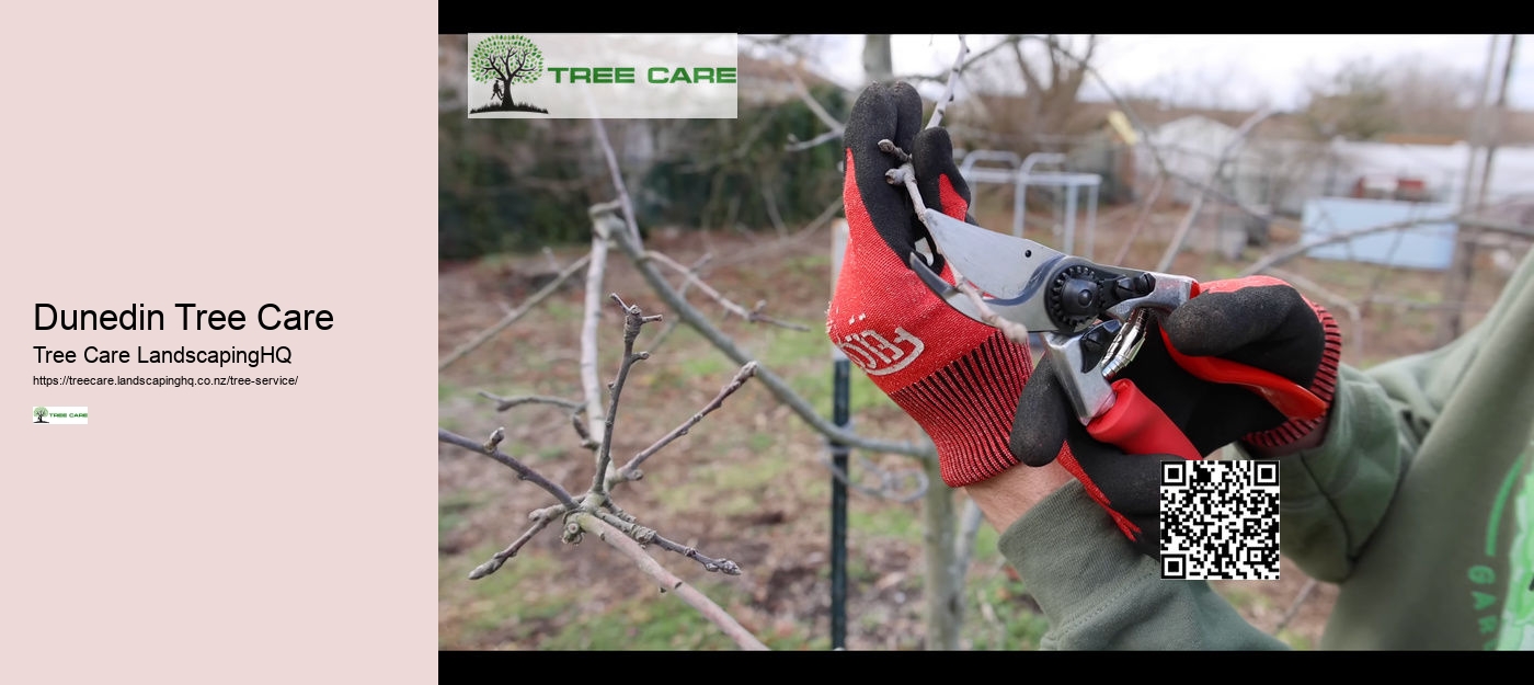 Tree Trimming Christchurch