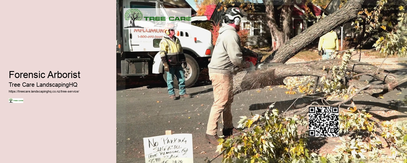 Tree Removal Whakatane