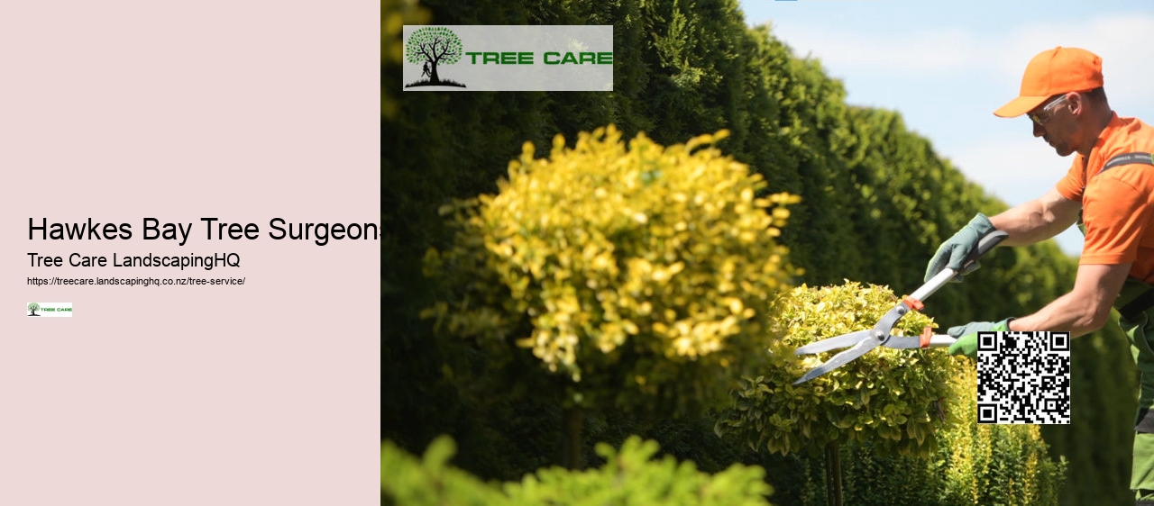 Hawkes Bay Tree Surgeons