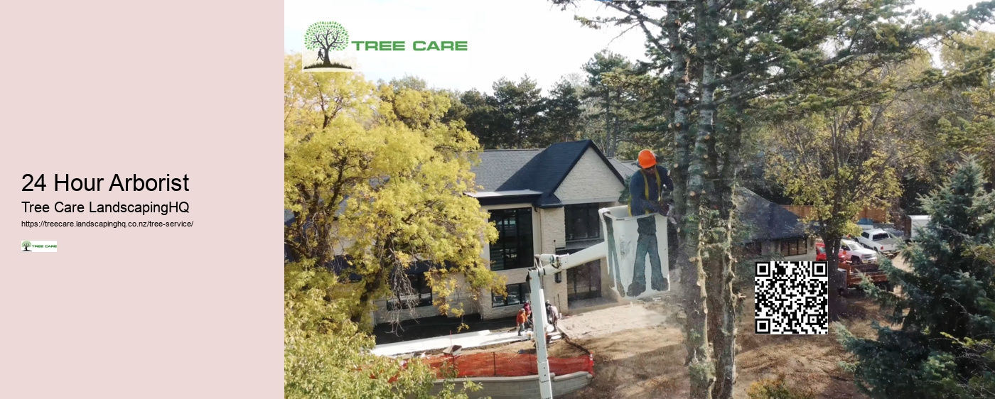 Tree Removal Christchurch NZ