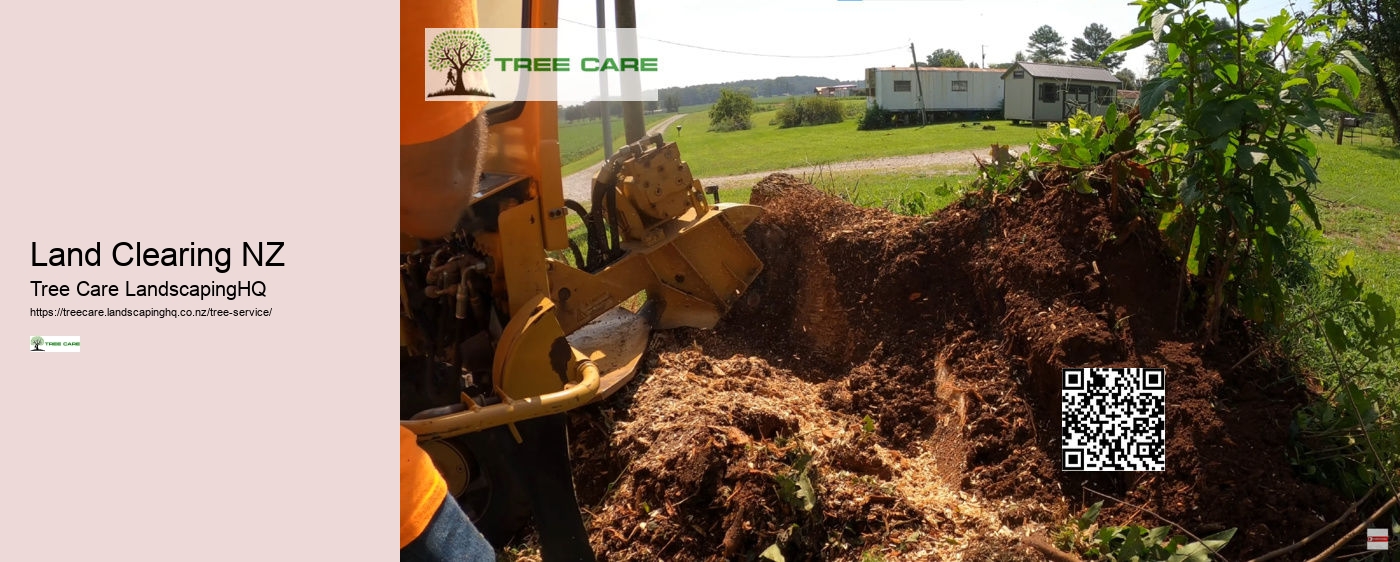 Tree Removal Dunedin