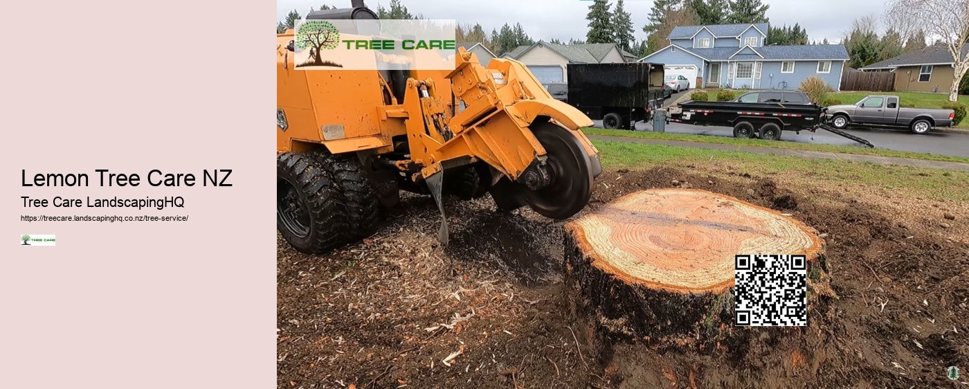 Tree Surgeon New Zealand