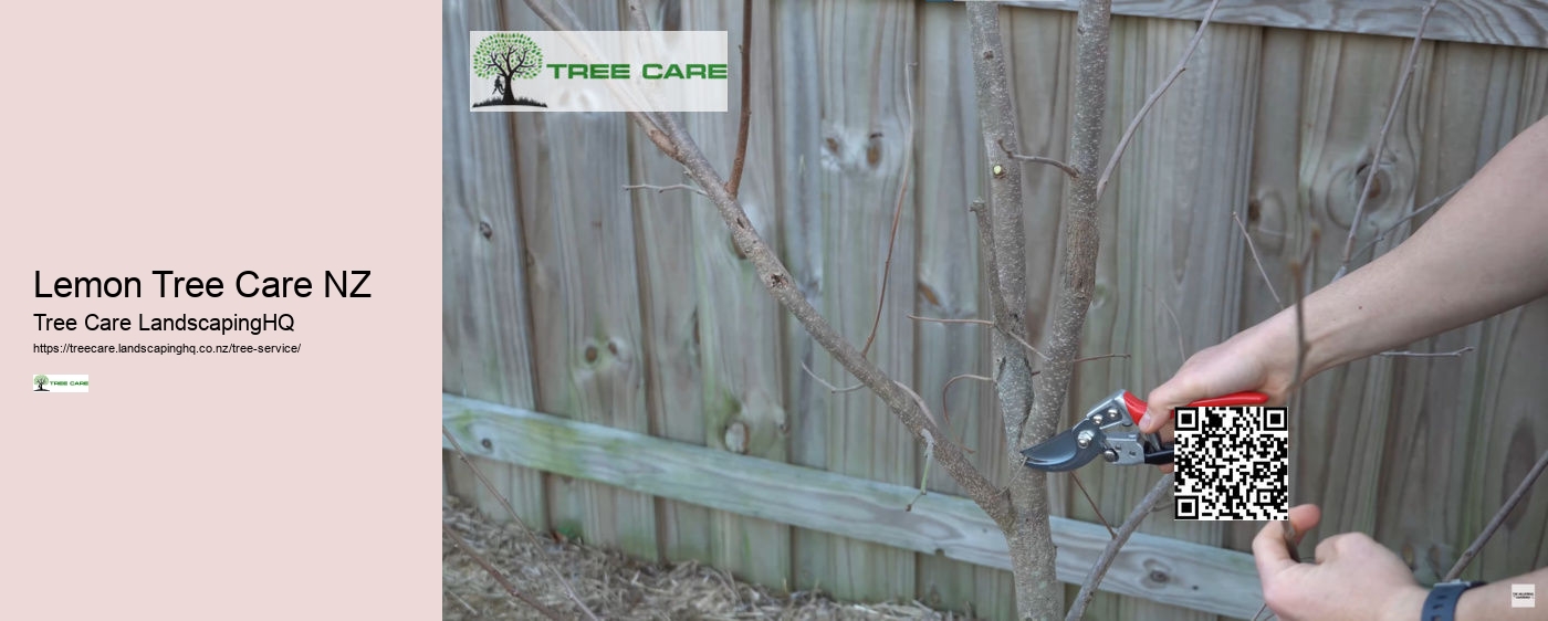 Arborist Napier