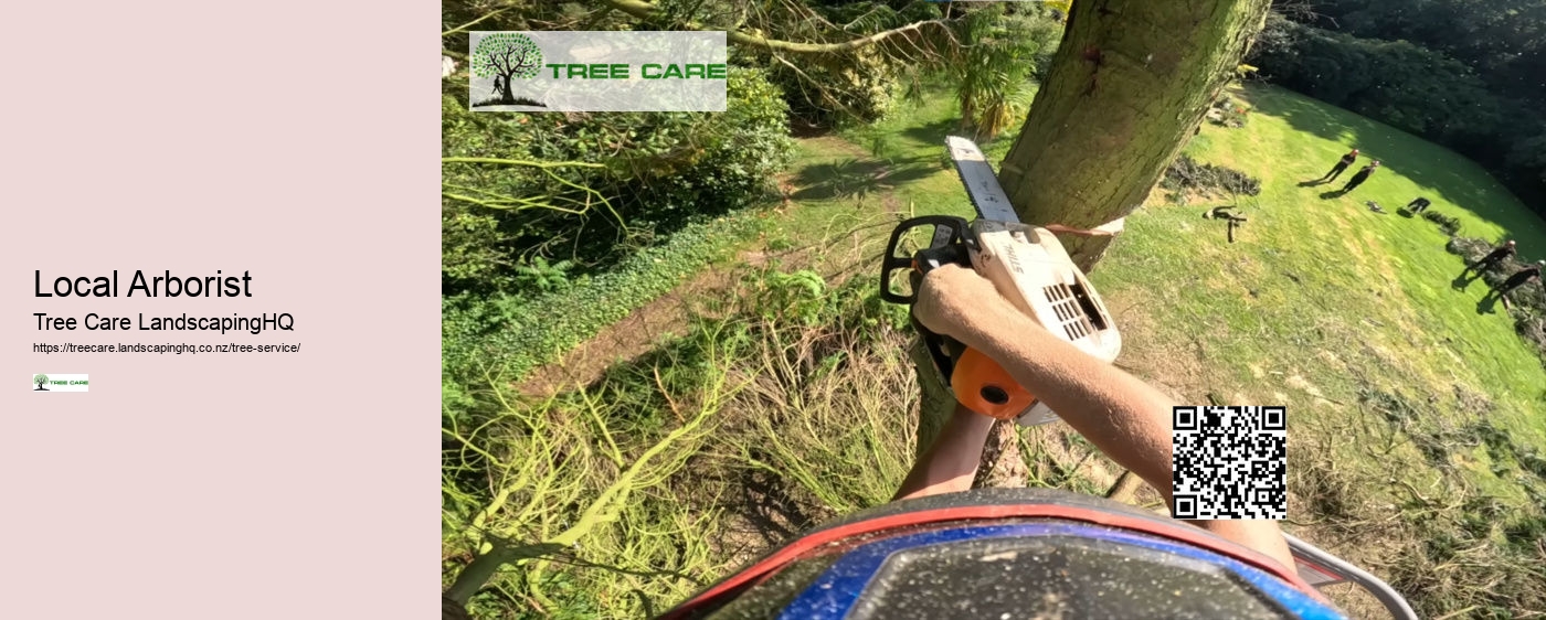 Arborist New Plymouth