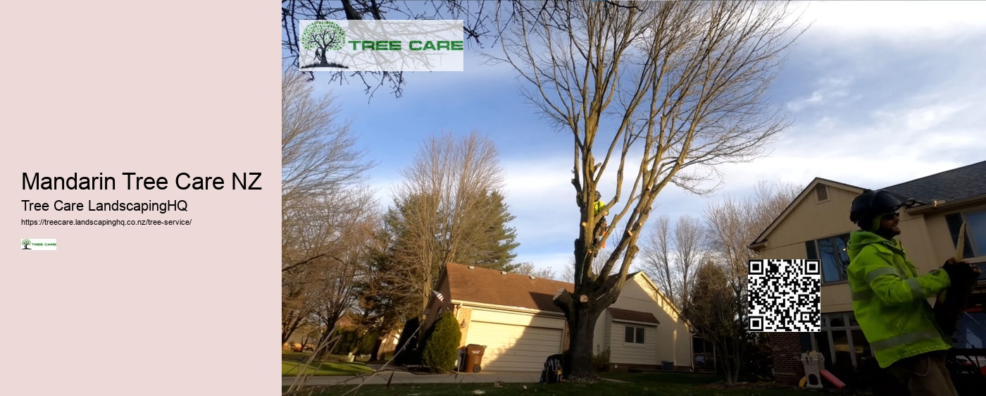 Tree Removal Free Quote