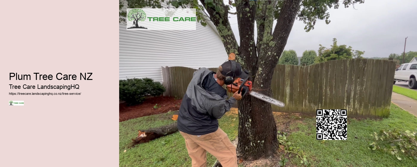 Tree Removal NZ