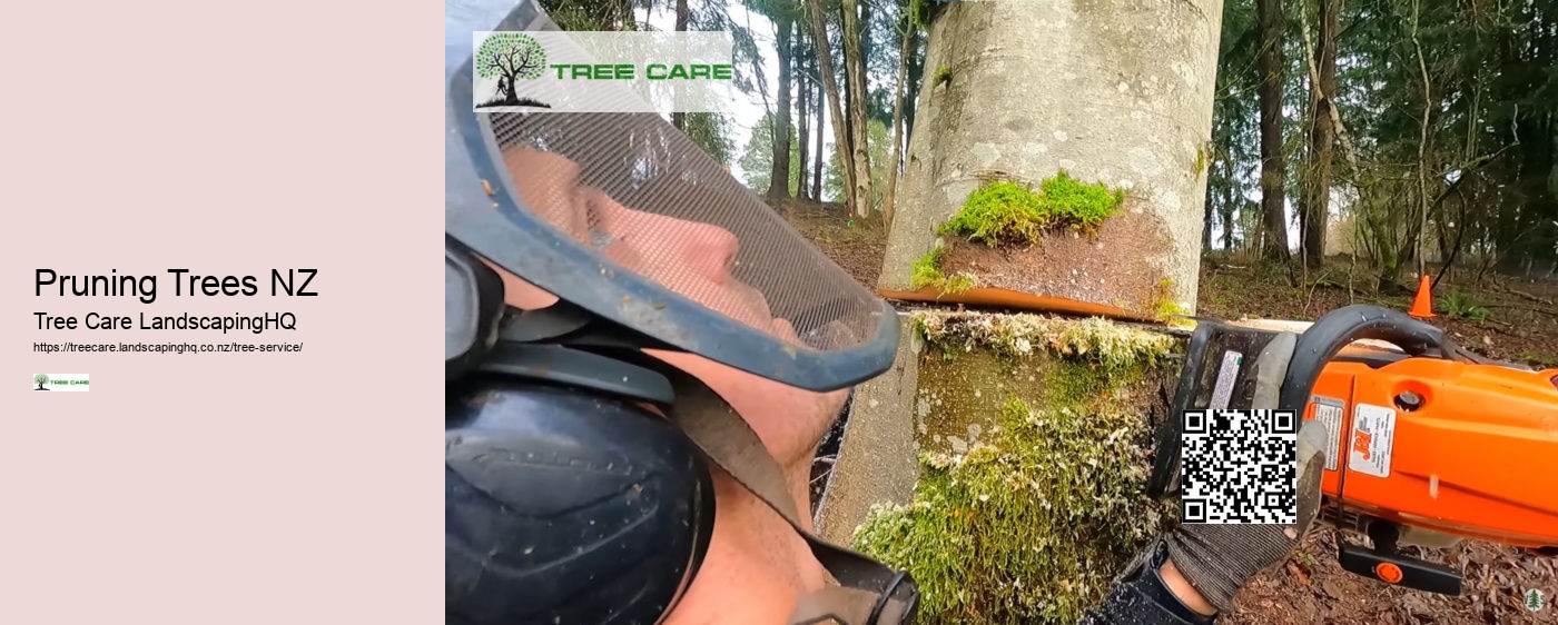 Tree Services Auckland