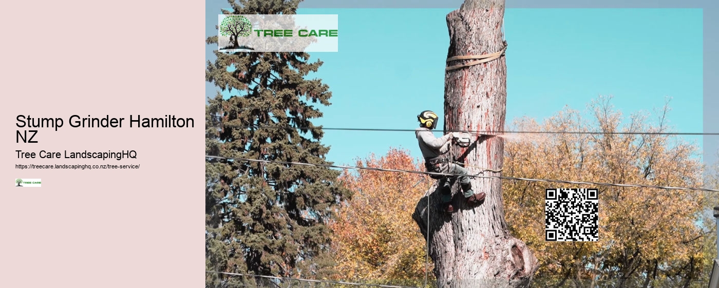 Tree Arborist Near Me