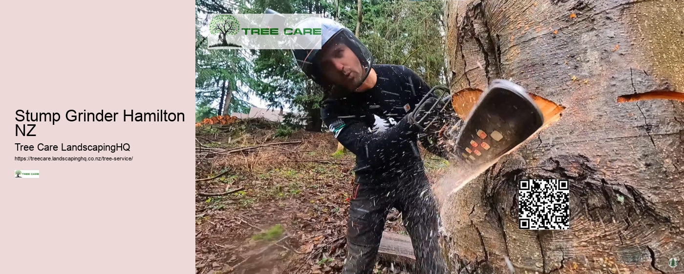 Stump Removal NZ