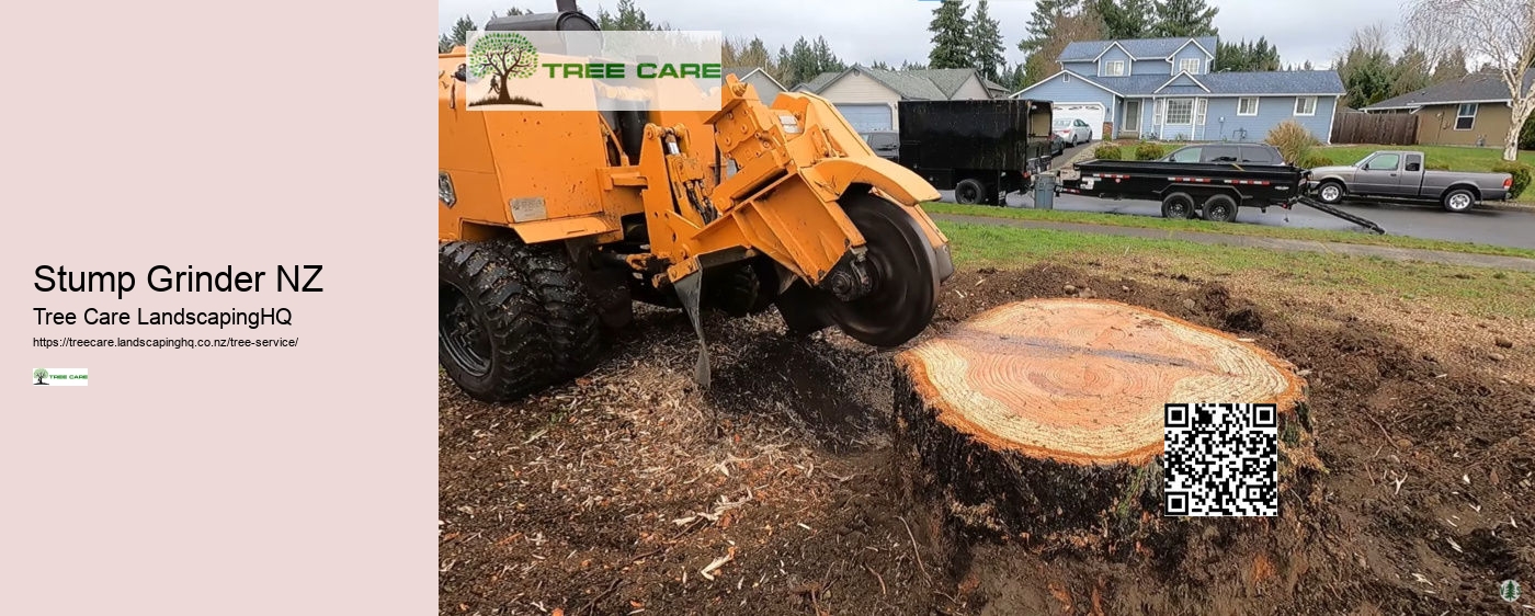 Tree Services Christchurch