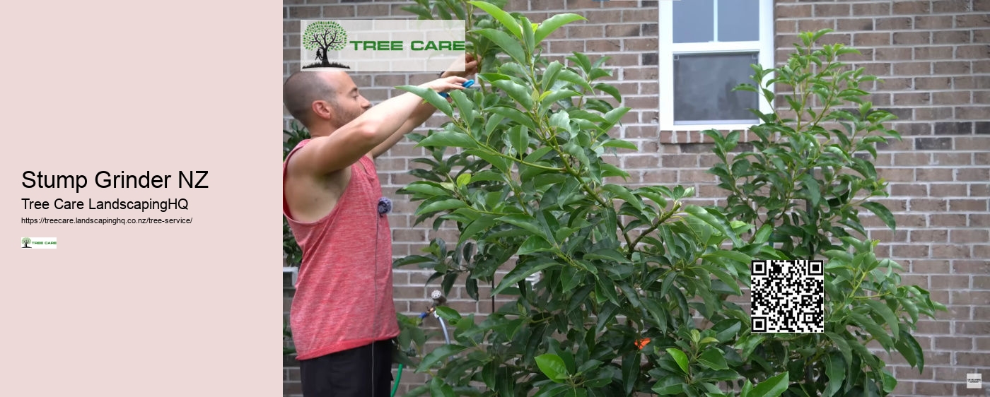 Tree Trimming Lower Hutt