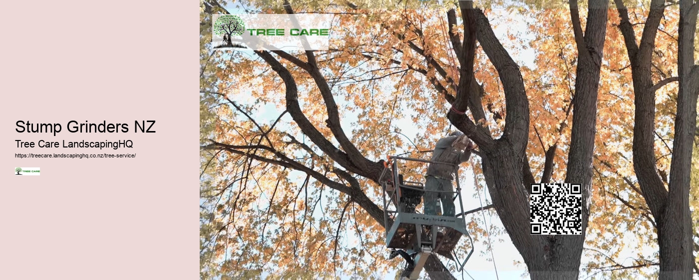 Tree Removal North Shore Auckland