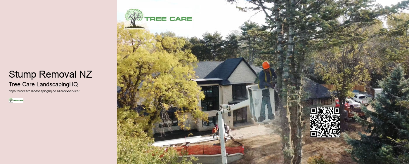 Arborist Hamilton New Zealand